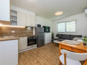 Pronájem bytu 1+kk, Měchenice, Vltavská, 29 m2