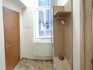Pronájem bytu 1+kk, Praha - Žižkov, Hájkova, 40 m2