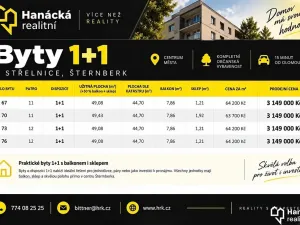Prodej bytu 1+1, Šternberk, U Střelnice, 45 m2