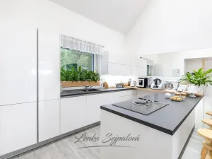 Prodej rodinného domu, Rabštejnská Lhota - Rabštejn, 160 m2