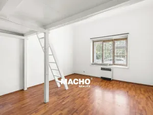 Pronájem bytu 1+1, Praha, Rybalkova, 46 m2