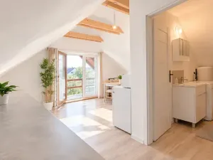 Pronájem bytu 2+kk, Bříství, 45 m2