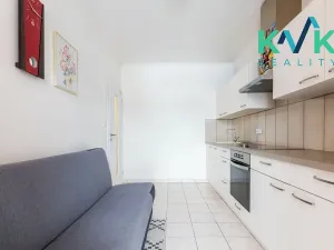 Prodej bytu 1+1, Karlovy Vary, Spálená, 46 m2