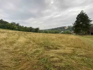 Dražba louky, Brumovice, 1160 m2
