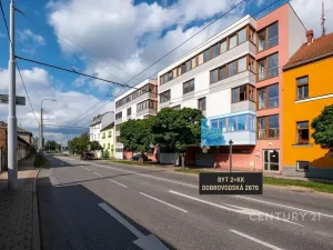 Prodej bytu 2+kk, České Budějovice - České Budějovice 5, Dobrovodská, 42 m2