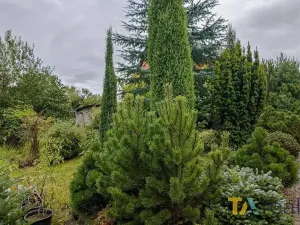 Prodej pozemku pro bydlení, Orlová, U Vodojemu, 2132 m2
