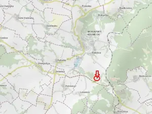 Prodej lesa, Moravský Krumlov, 2648 m2