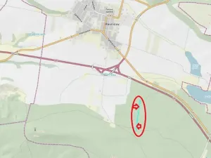 Prodej lesa, Řevničov, 11311 m2