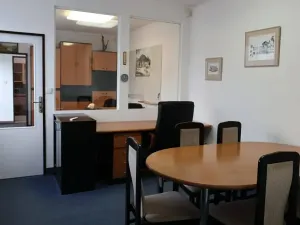 Pronájem komerční nemovitosti, Mladá Boleslav, Ptácká, 52 m2