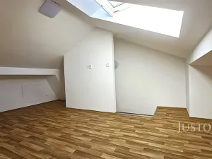 Prodej vícegeneračního domu, Písek, V Koutě, 786 m2