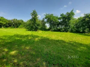 Prodej pozemku pro bydlení, Dražíč, 2918 m2