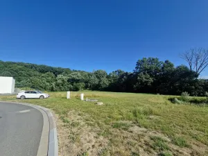 Prodej pozemku, Velká Polom, Okružní, 6038 m2