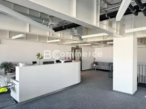 Pronájem kanceláře, Brno, Lazaretní, 150 m2