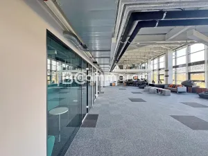 Pronájem kanceláře, Brno, Lazaretní, 150 m2