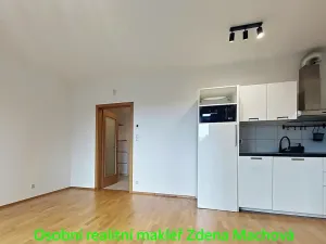 Pronájem bytu 1+kk, Praha - Žižkov, Olšanská, 40 m2