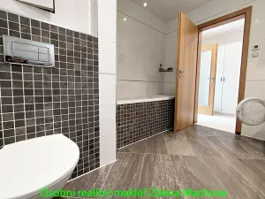 Pronájem bytu 1+kk, Praha - Žižkov, Olšanská, 40 m2