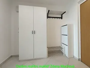 Pronájem bytu 1+kk, Praha - Žižkov, Olšanská, 40 m2