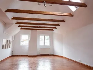 Prodej vícegeneračního domu, Česká Bělá, 312 m2