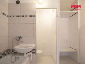 Pronájem bytu 1+1, Hradec Králové - Moravské Předměstí, Sezemická, 33 m2
