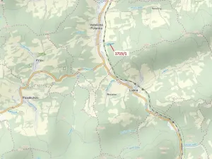 Dražba lesa, Valašská Polanka, 17552 m2