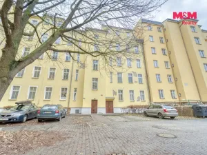 Prodej bytu 1+kk, Plzeň - Východní Předměstí, Plzenecká, 30 m2