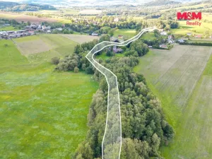 Prodej rybníku, Strážov - Opálka, 4011 m2