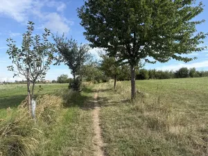Prodej zahrady, Říčany, Do Lehovic, 2317 m2