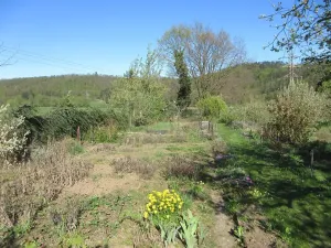 Prodej zahrady, Brno, Řezáčova, 1392 m2