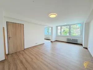 Prodej bytu 2+1, Mladá Boleslav, Purkyňova, 60 m2