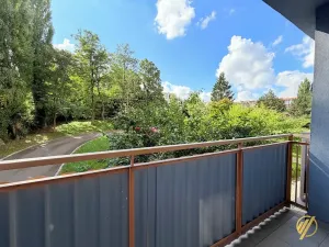 Prodej bytu 2+1, Mladá Boleslav, Purkyňova, 60 m2