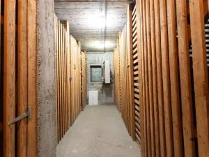 Pronájem bytu 1+1, Minusio, Švýcarsko, 30 m2