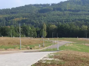 Prodej pozemku pro bydlení, Dalovice, Okrajová, 839 m2