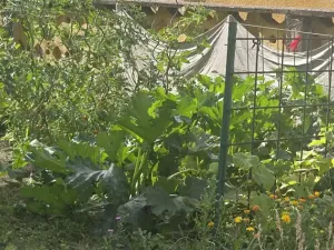 Prodej bytu 2+1, Česká Lípa, 49 m2