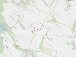 Dražba lesa, Horní Dunajovice, 178 m2