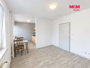 Pronájem bytu 1+kk, Hradec Králové, Sušilova, 32 m2