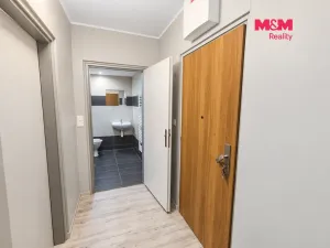 Pronájem bytu 1+kk, Hradec Králové, Sušilova, 32 m2