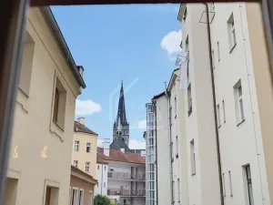 Pronájem pokoje, Praha - Žižkov, Seifertova, 25 m2