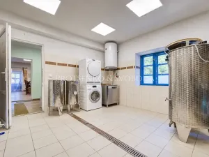 Prodej ubytování, Lhenice, 300 m2