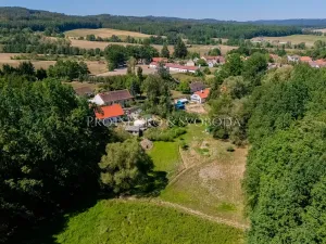 Prodej zemědělské usedlosti, Lhenice, 300 m2