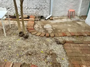 Prodej rodinného domu, Miroslav, Brněnská, 88 m2