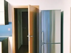 Pronájem bytu 1+kk, Praha - Dejvice, Lindleyova, 42 m2