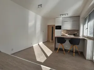 Pronájem bytu 1+kk, Brno, Střední, 33 m2