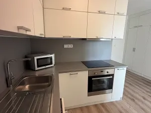 Pronájem bytu 1+1, Praha - Vinohrady, Řipská, 40 m2
