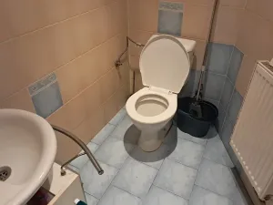 Prodej rodinného domu, Oleška, 80 m2