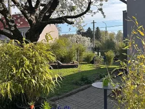 Prodej rodinného domu, Hrob, 80 m2