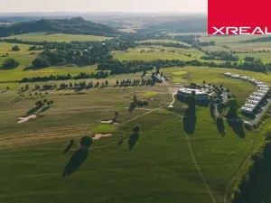 Prodej komerčního pozemku, Mladé Buky, 114943 m2