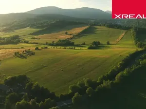 Prodej komerčního pozemku, Mladé Buky, 114943 m2