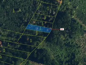 Dražba lesa, Jaroměřice nad Rokytnou, 482 m2