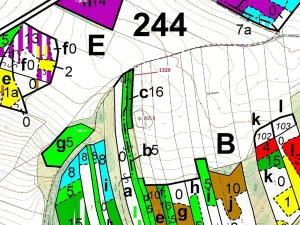 Dražba lesa, Vladislav, 381 m2
