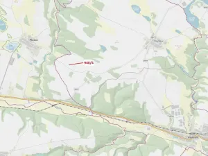 Dražba lesa, Vladislav, 591 m2